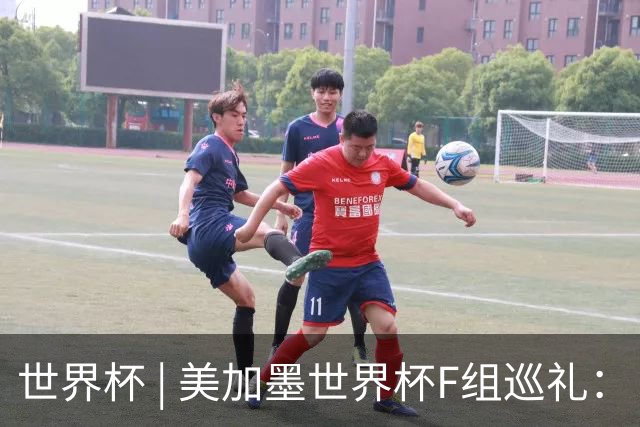 世界杯 | 美加墨世界杯F组巡礼：“死亡之组”的24种排列组合