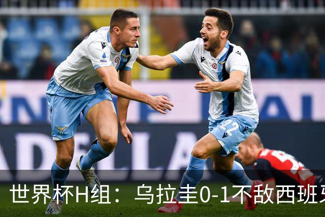 世界杯H组：乌拉圭0-1不敌西班牙 佛得角0-0战平沙特阿拉伯
