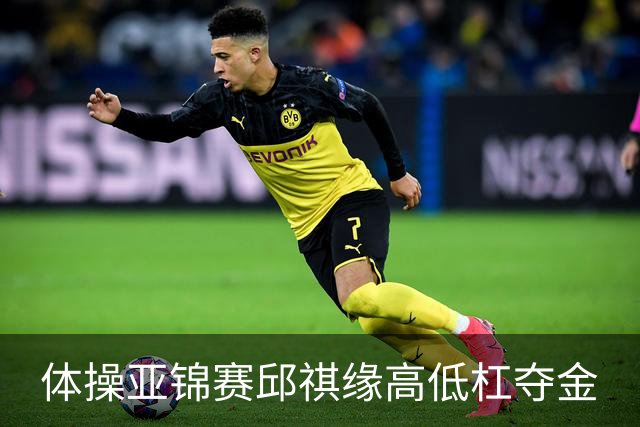 体操亚锦赛邱祺缘高低杠夺金