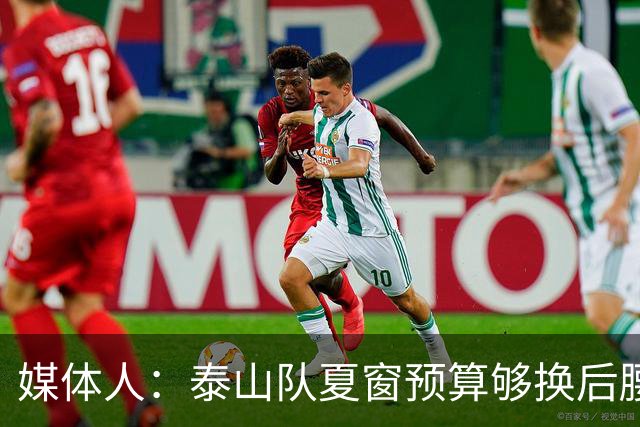 媒体人：泰山队夏窗预算够换后腰，错失太多机遇浪费时间和金钱