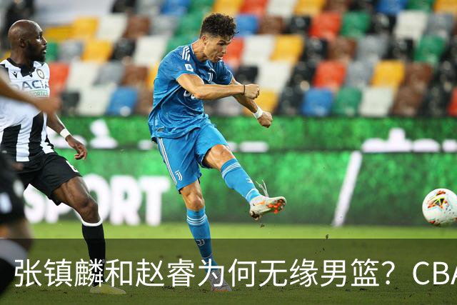 张镇麟和赵睿为何无缘男篮？CBA名记分析，道出2个原因