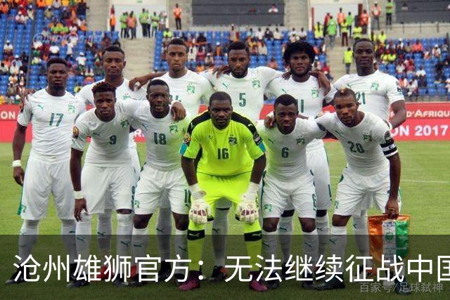 沧州雄狮官方：无法继续征战中国足球职业联赛